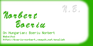 norbert boeriu business card